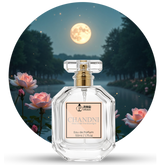 Chandni - Eternal Elegance for the Modern Woman